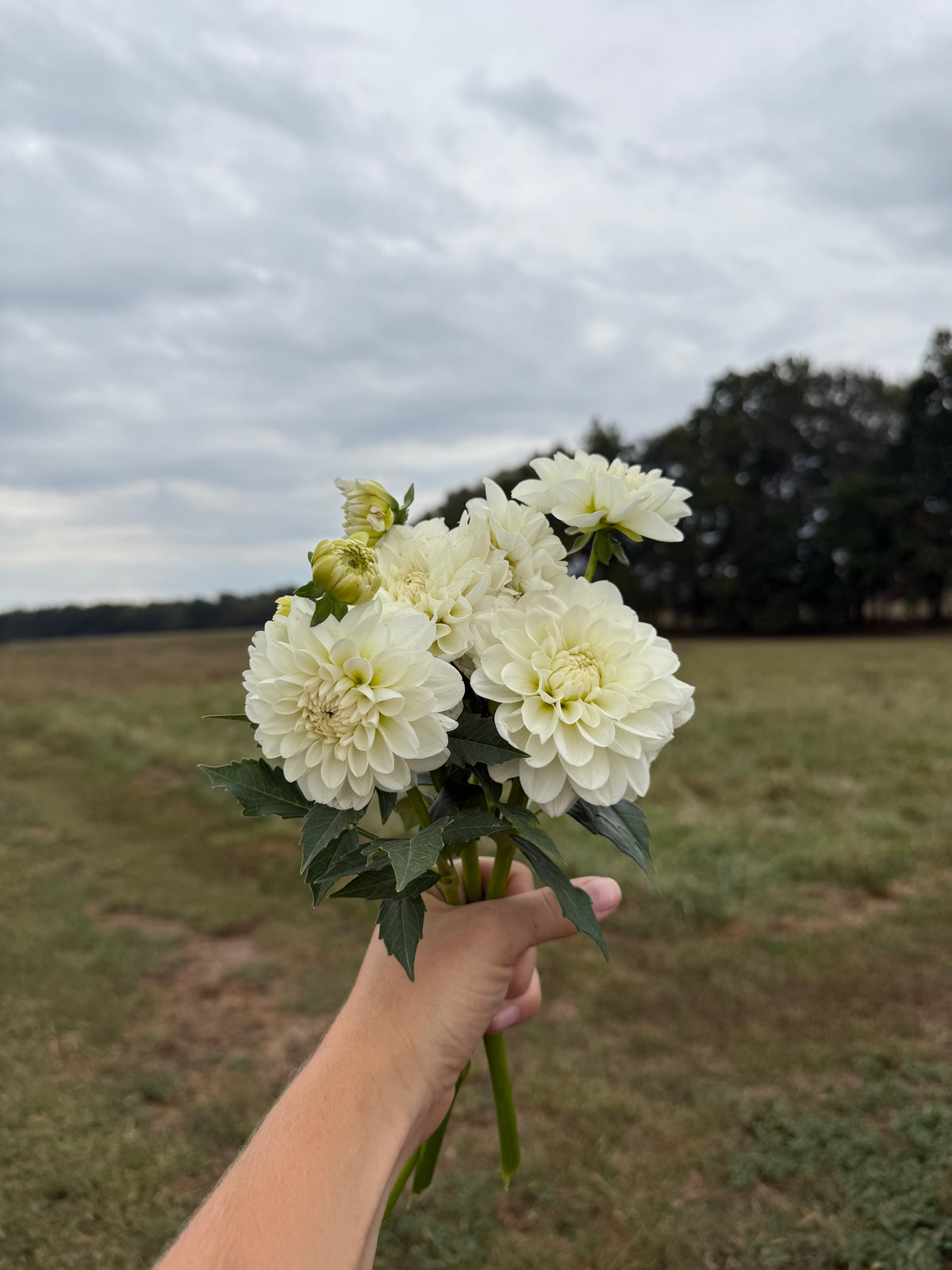 Bride To Be